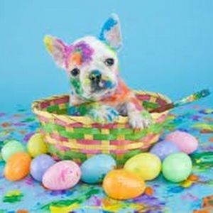 Meet your Posher, Kailyn